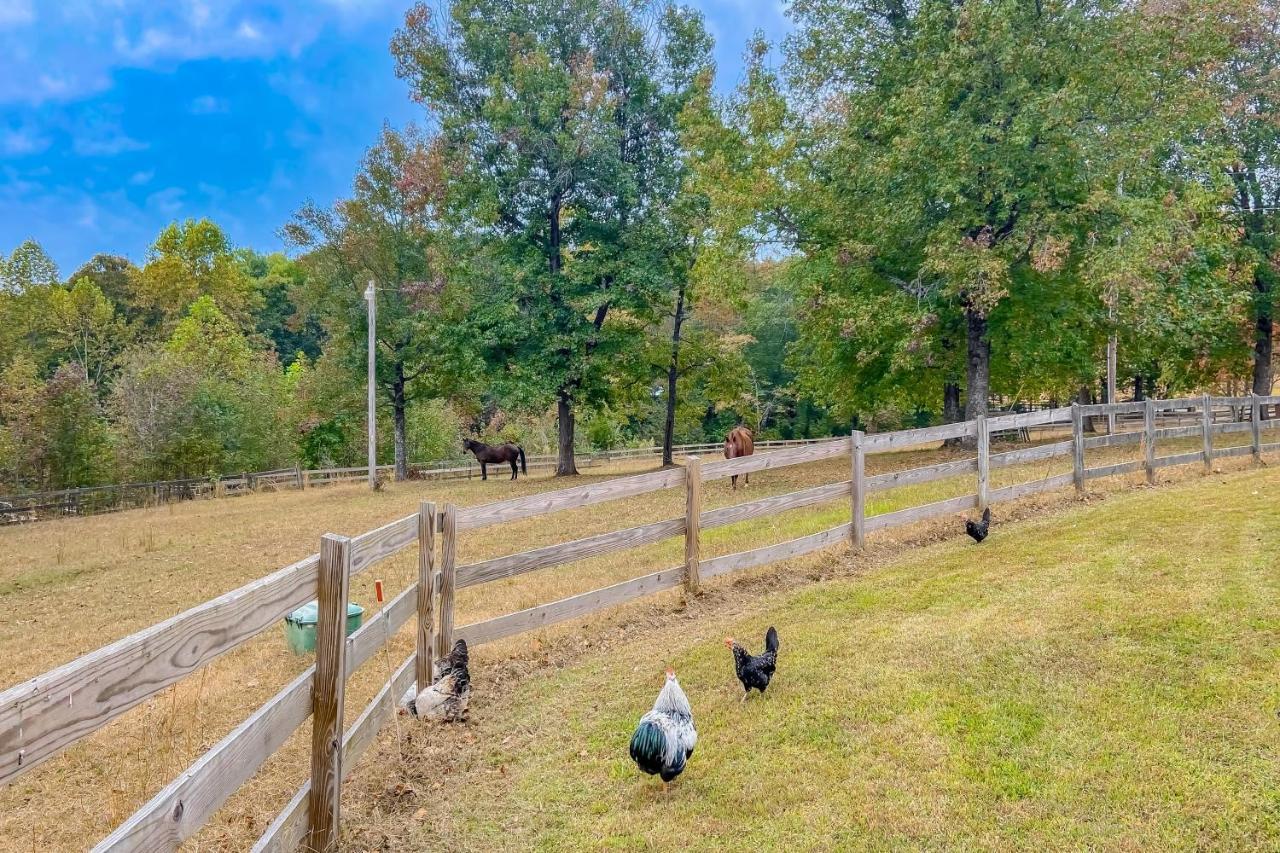 The Cottage At Overlook Farm Landrum Exterior foto